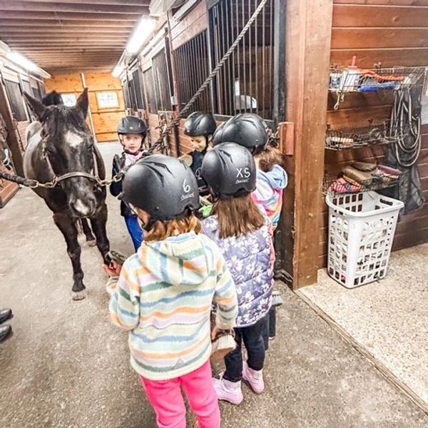 Children wearing helmets interact with a horse in a stable.
