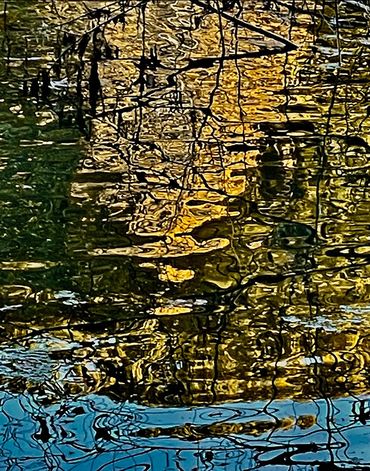 Vertical photograph of a close up of trees and plant reflections and ripples in a pond.