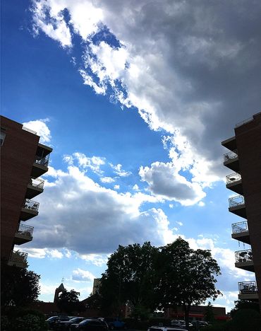 Vertical photograph of a tree and two apartment buildings in silhouette against a cloudy sky.