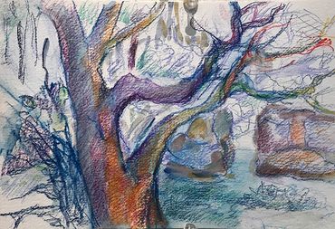Caran D’Ache drawing on paper “Tree Study”