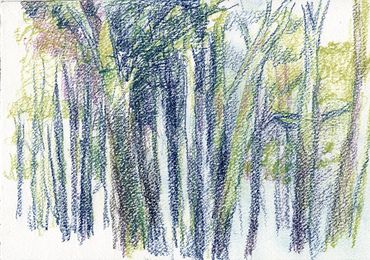 Caran D’Ache drawing on paper “Weir Trees”