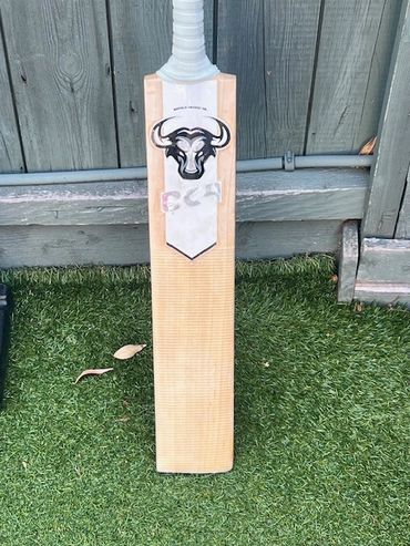 New refurbished cricket bat