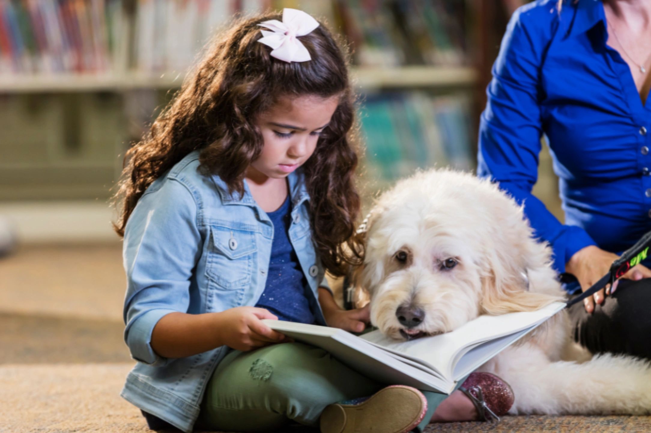 Girl reading to a therapy dog