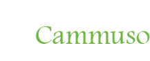 Giovanna Cammuso LCSW, LLC