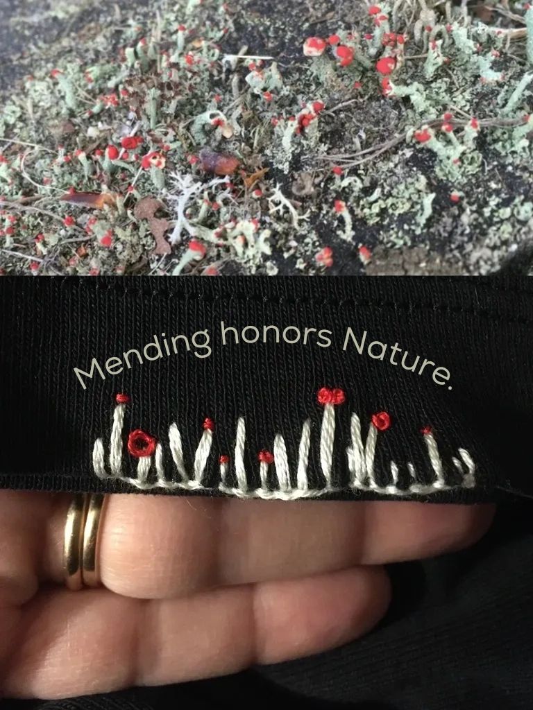 British soldiers lichen mending project
