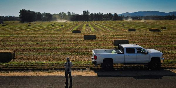 Gilmour Pacific Trading, LLC