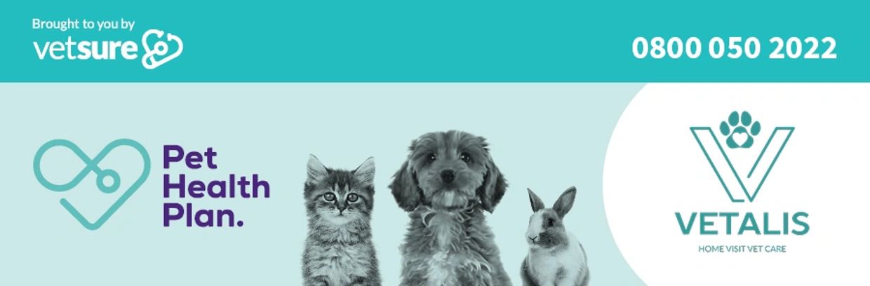 Pet health plan advertisement featuring a cat, dog, and rabbit with Vetalis logo.
