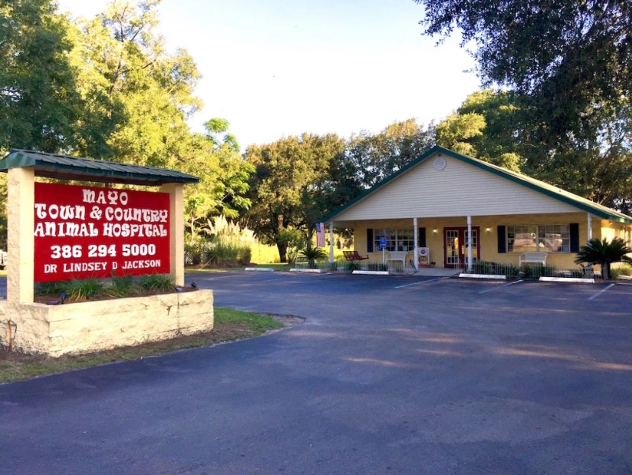 An exterior building shot of Mayo Town and Country Animal Hospital, showing the front entrance and p