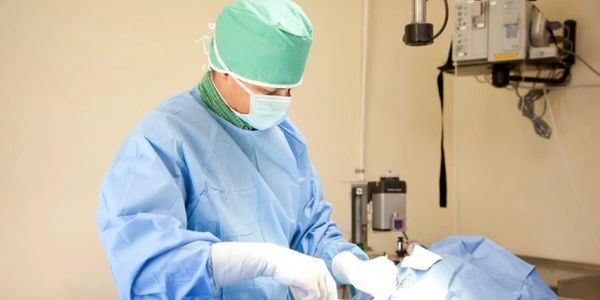 Dr. Lindsey D. Jackson DVM performs surgery on a patient.