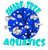 Shadetree Aquatics