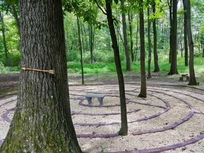 Many trees are part of the Labyrinth experience at Sacred Tree Drumming