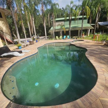 Time-lapse comparison of pool transformation from green to clear with professional algae removal.