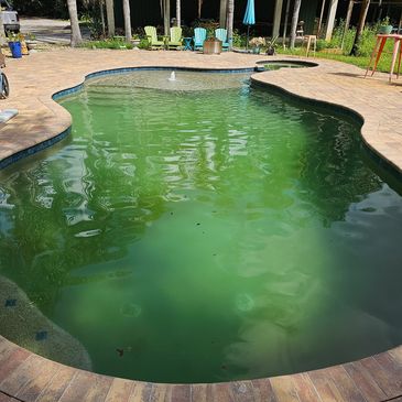 Heavily algae-covered green pool before undergoing Green to Clean treatment in Port Orange.