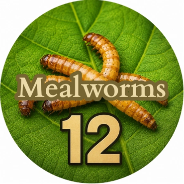Close-up of mealworms on a green leaf with text 'Mealworms 12'.