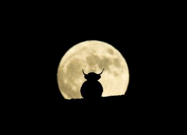 Sell Photo to newspaper