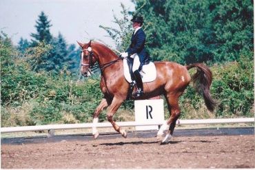 Diane van den Berg