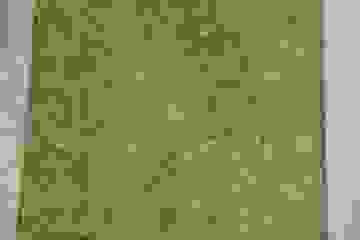 image559