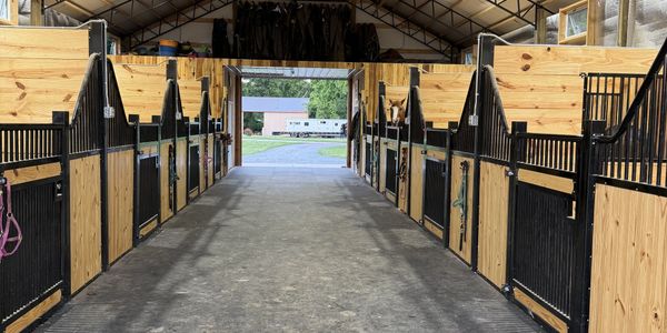Clean and organized horse stable with wooden stalls on both sides.
