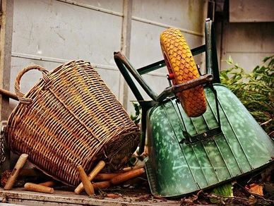 Imagen de Mabel Amber en Pixabay