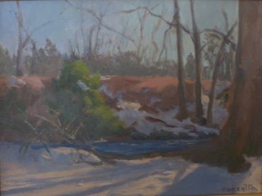 Late Afternoon Winter Light_ 12 x 16_ oil on stretched Belgian linen. Ringwood New Jersey. Garden st