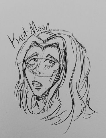 by Max a Knut Moon Picture