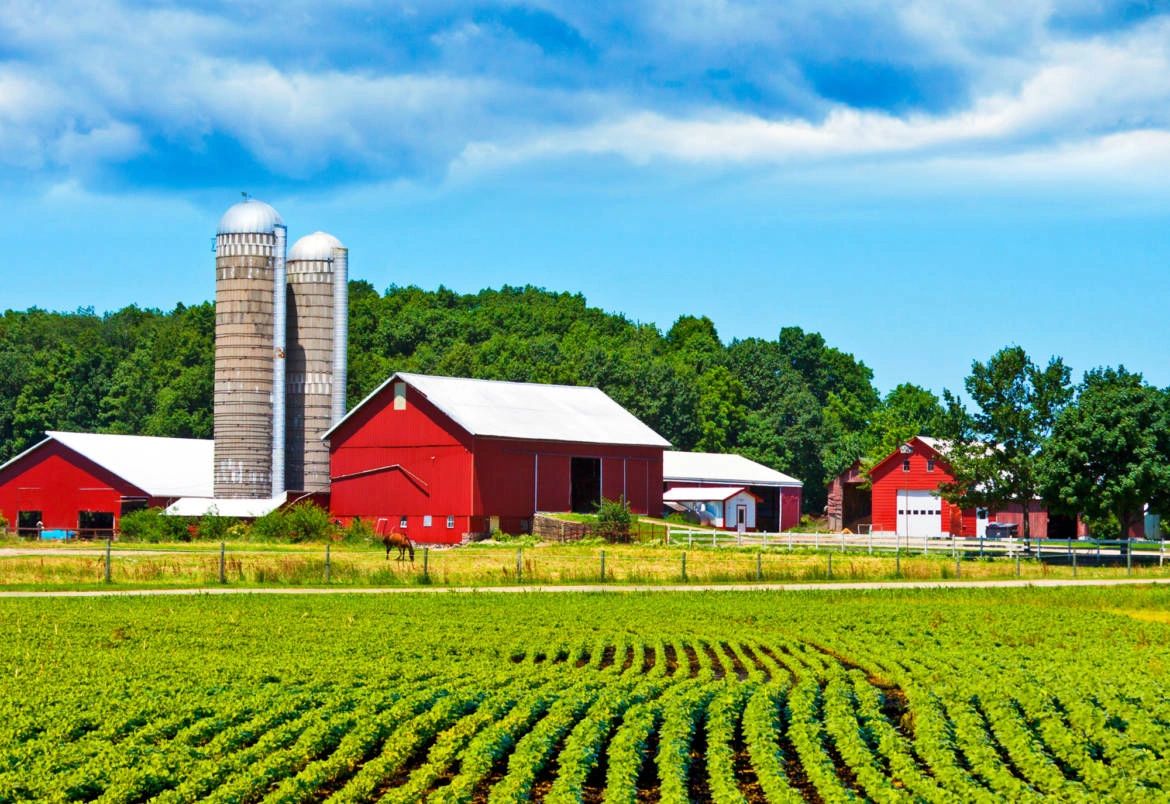 Red Farm with Row Crops, Horse, and Barn Loans.