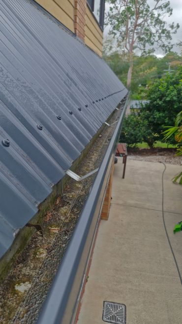 Close-up of a metal roof and dirty gutter with leaves and debris.