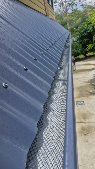 Close-up of a rain gutter with mesh guard on a corrugated metal roof.