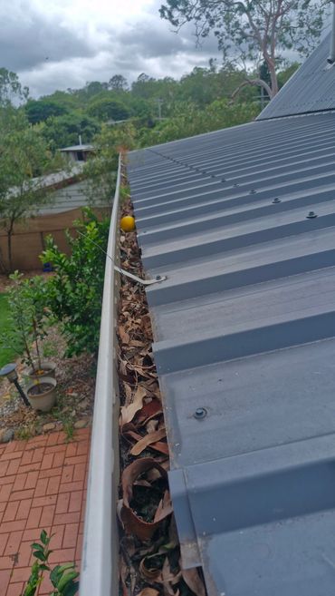 Clogged roof gutter filled with dry leaves and a yellow ball.