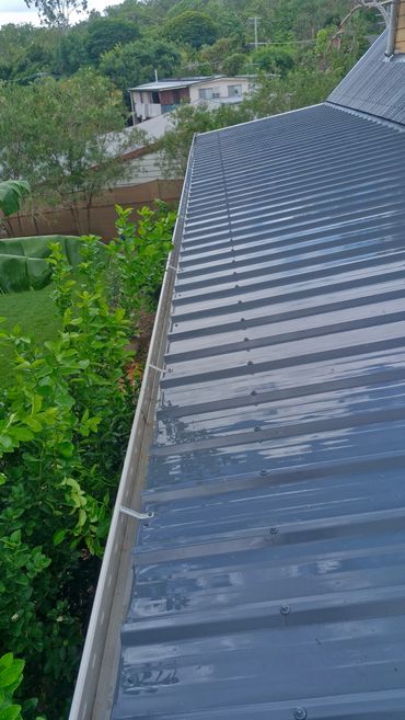 Clean metal roof with attached gutter beside green plants and trees.