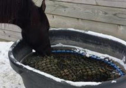 Broken stock tanks can make excellent slow feed hay feeders
