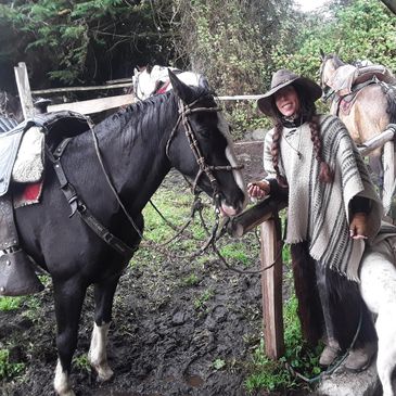 Horse and rider getting acquainted before a ride