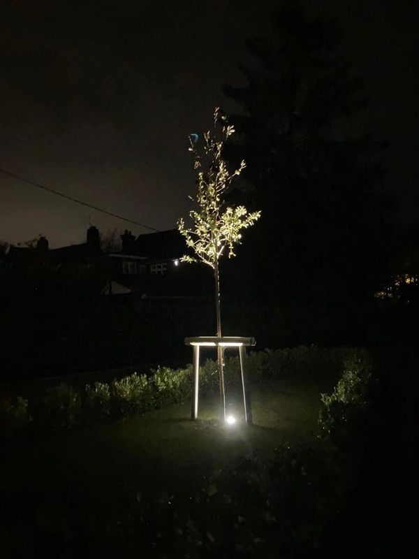 Collingwood garden lighting