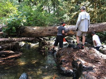 Three men in a forest clearing near a stream with a fallen tree.