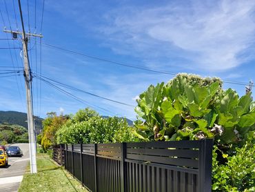 Black metal fence lining a suburban street with lush green bushes.