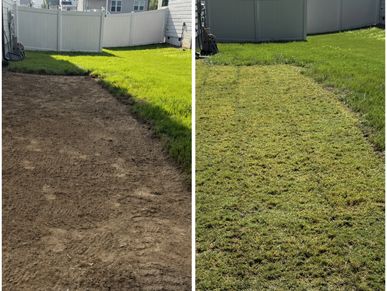 Newly laid sod on a backyard lawn before and after watering.