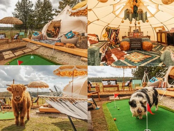 Cozy glamping tents with fun outdoor activities and animals.