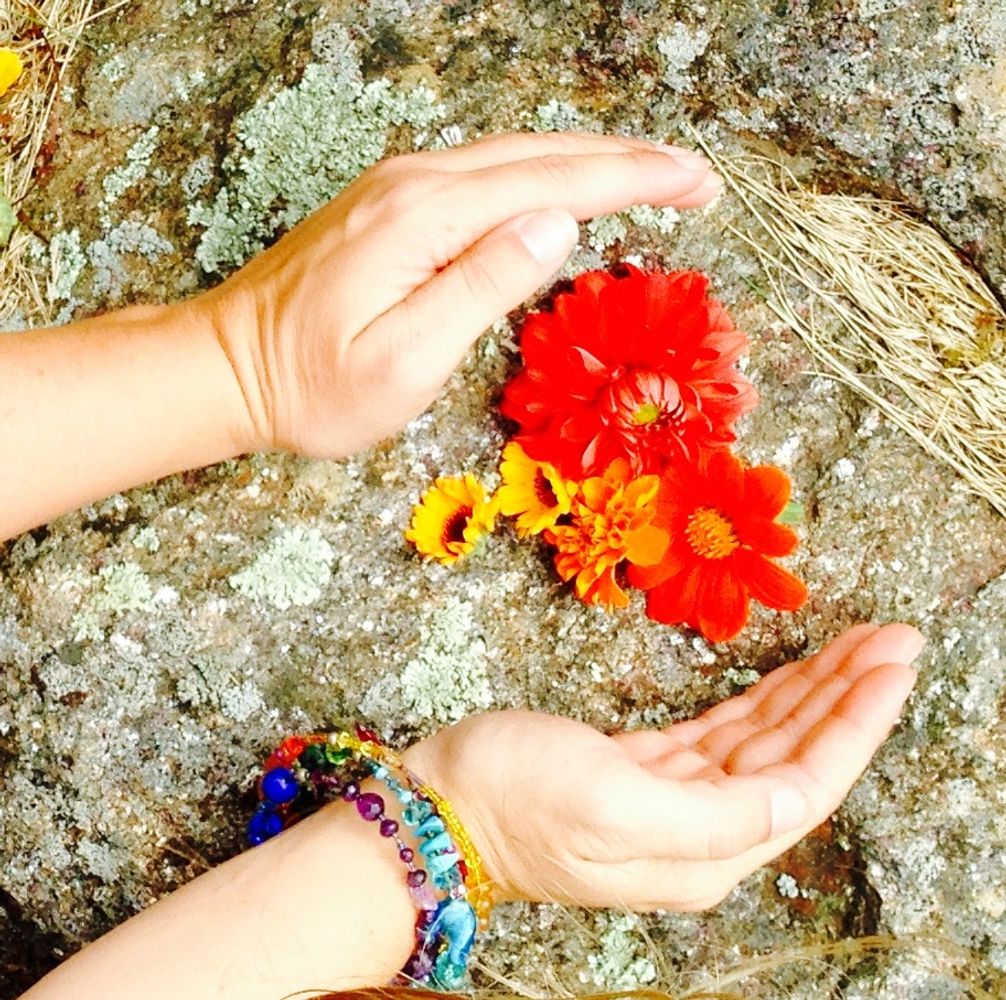 Healing Hands placed around wild mountain flowers