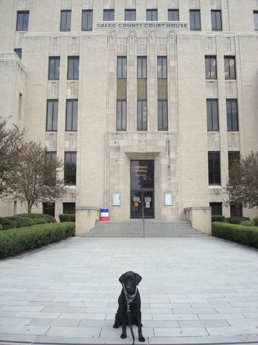 Hera at Gregg County, Texas Courthouse in Longview