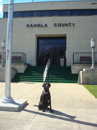 Hera at Panola County, Texas Courthouse in Carthage