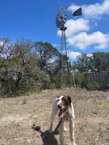 Phantom in front of a Texas windmill