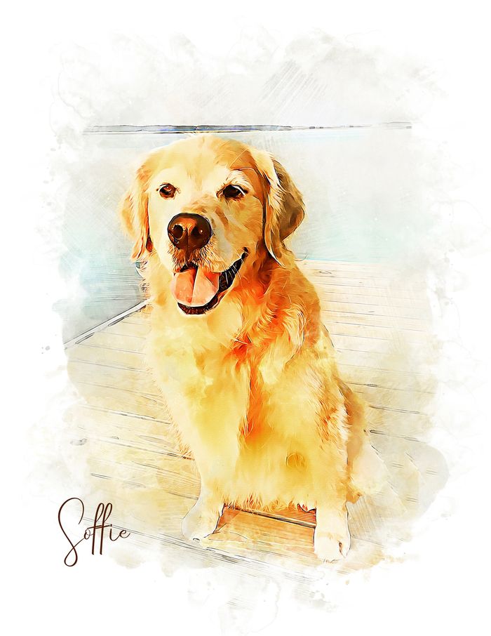 Soffie with MyOneLeash a dog leash. collar, harness all-in-one to walk your dog with no pull