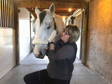 Equine Craniosacral Treatments, Equine Osteopathy, Equine Natural Therapies