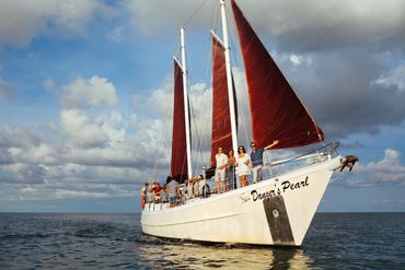 Sailing new sailboat Danger Pearl