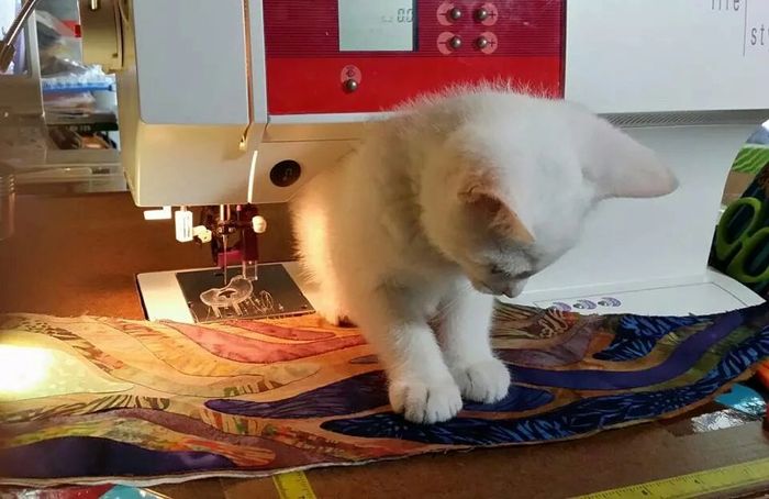 Three adults focused on drawing portraits on easels in an art class.