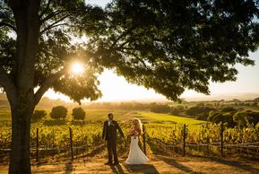 Napa Wedding, Sunset