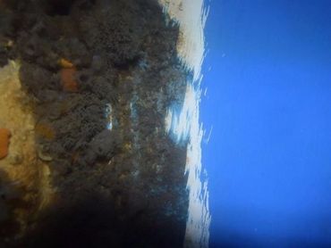 Underwater Bottom Boat Paint - Tri-State Area