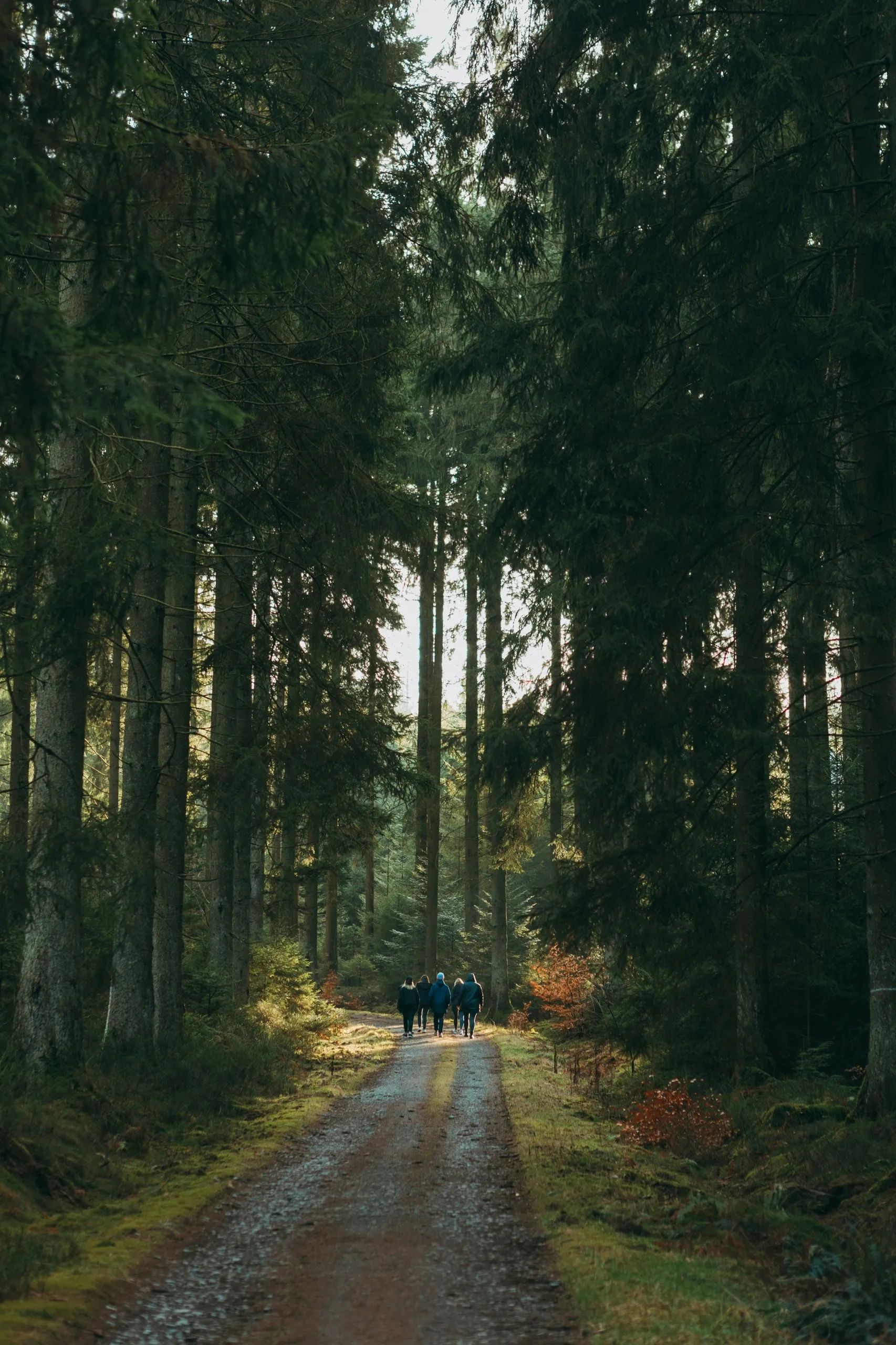 Picture by Jonas Denil