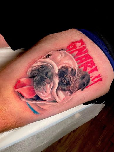 Colour realism portrait tattoo of a bulldog with vibrant red text on thigh saying 'Gnarly'.