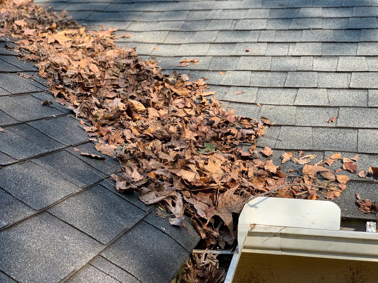 Splash guards or valley shields are terrible at collecting and trapping debris.